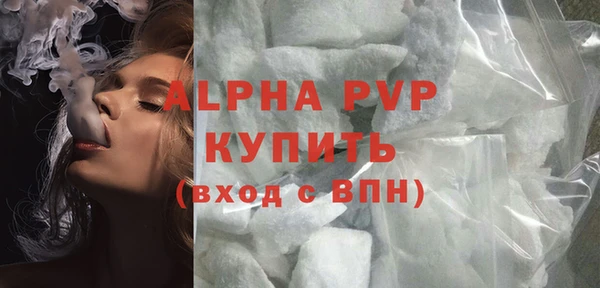 крисы Надым