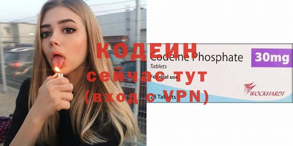 крисы Надым