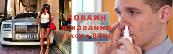 крисы Надым