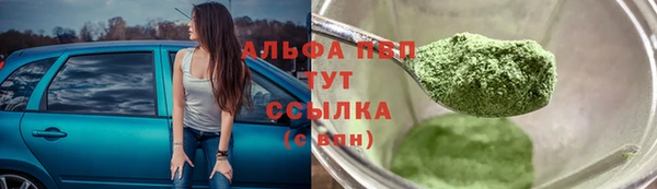крисы Надым