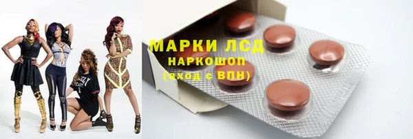 крисы Надым