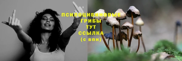 крисы Надым