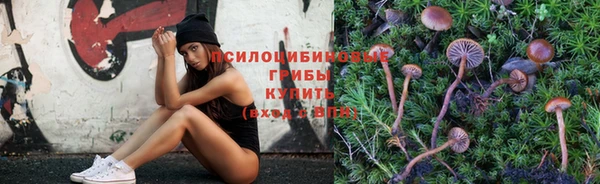 крисы Надым