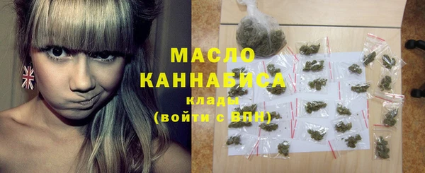крисы Надым