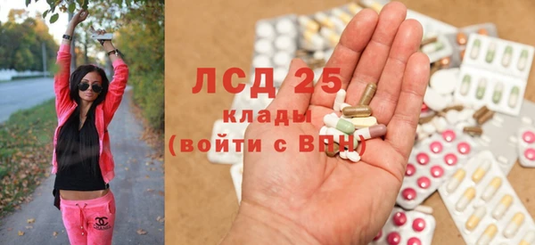 крисы Надым