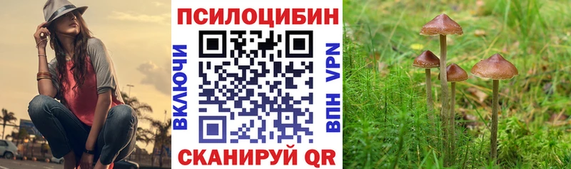 Купить закладки  Амурск  Псилоцибиновые грибы мицелий 